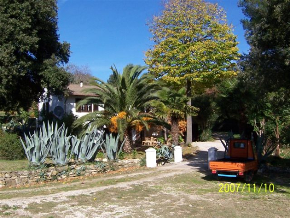 Il Mulino