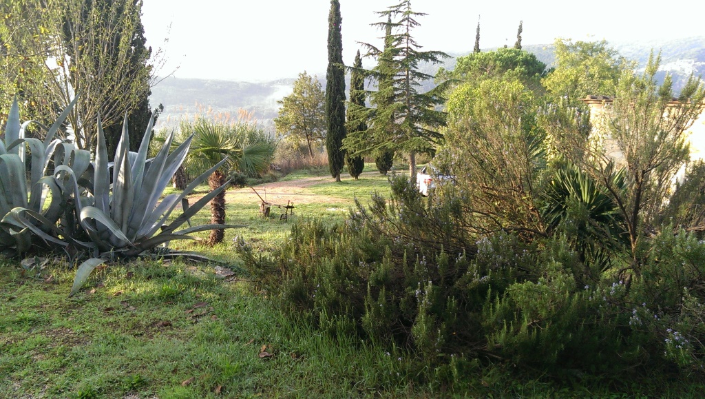 maremma